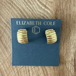 Elizabeth Cole Indigo Earrings